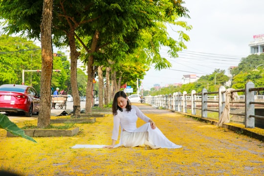 Thành Vinh nắng trộn sắc vàng hoa giáng hương ngày giao mùa