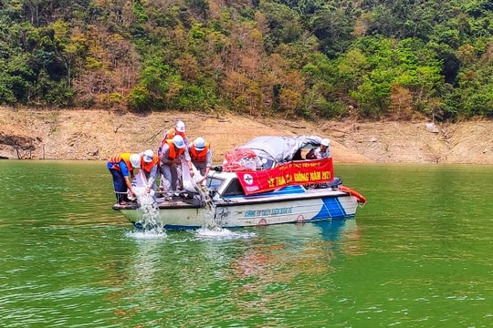 Thả trên 40.000 con cá giống xuống lòng hồ thủy điện Bản Vẽ