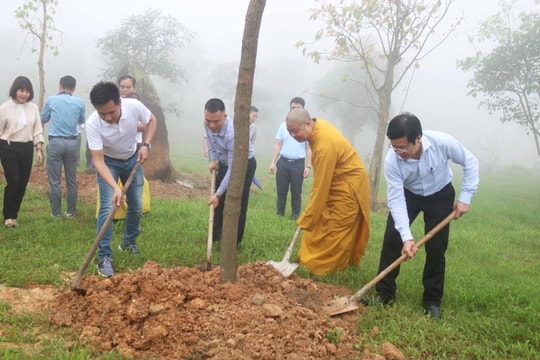 Chương trình 'Chùa Xanh' trồng hơn 1.100 cây xanh trên núi Đại Huệ