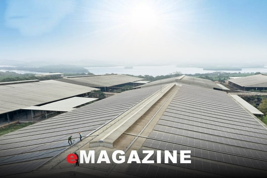 Điện mặt trời - Nguồn năng lượng xanh trong chiến lược phát triển bền vững của Tập đoàn TH