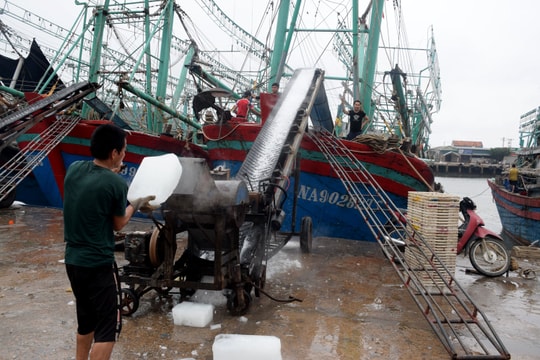 Tàu cá Nghệ An 'nạp' hàng nghìn tấn đá lạnh để vươn khơi