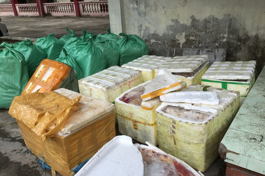 Phát hiện hơn 1 tấn nội tạng động vật không rõ nguồn gốc, đã hư hỏng 