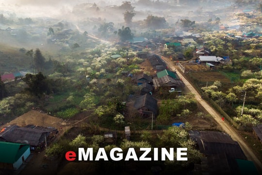 Trăn trở với miền Tây - Bài 1: Bảo tồn nguồn gen quý của miền Tây Xứ Nghệ