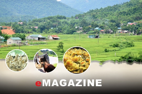 Trăn trở với miền Tây: Bài 2: Những dự án kém hiệu quả