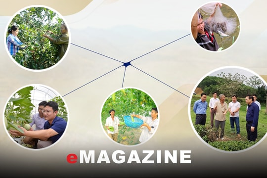 Trăn trở với miền Tây: Bài cuối: Hướng đến xây dựng thương hiệu bền vững