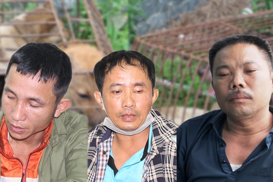 Video: Băng nhóm trộm chó liều lĩnh dùng hung khí chống trả sa lưới pháp luật