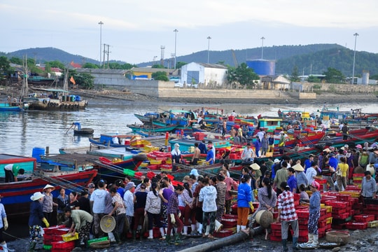  Cửa Lò: Nghề biển cho ngư dân thu nhập 10-15 triệu đồng mỗi tháng