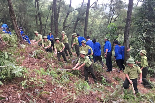 Tỉnh đoàn Nghệ An tổ chức lễ ra quân phòng cháy chữa cháy rừng