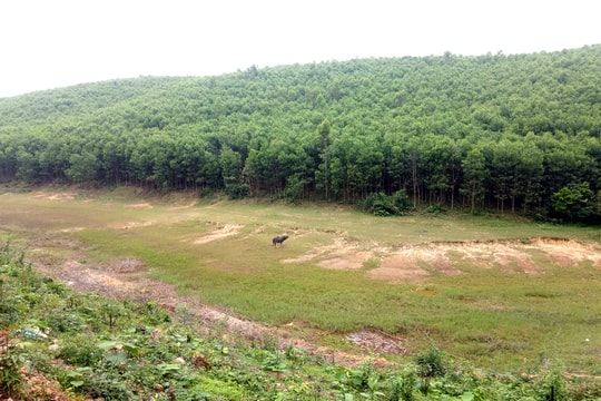 Nghệ An: Nhiều hồ khô cạn, nguy cơ thiếu nước sản xuất lúa 