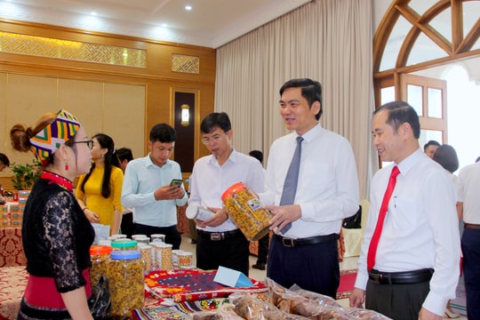 Nghệ An tăng cường kết nối, tiêu thụ sản phẩm trong lĩnh vực hợp tác xã