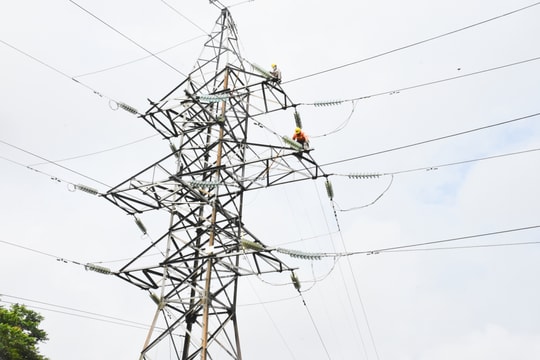 Công ty Điện lực Nghệ An: Diễn tập phòng chống thiên tai, xử lý sự cố an toàn lưới điện