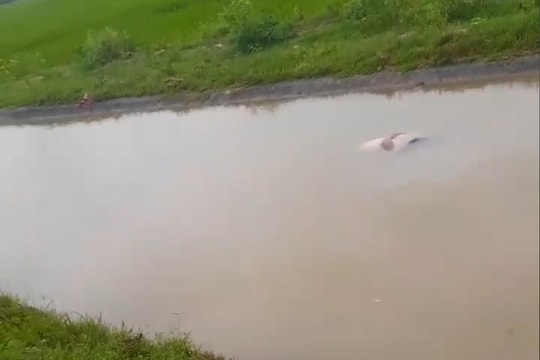 Phát hiện thi thể một phụ nữ trôi dạt trên kênh thủy lợi