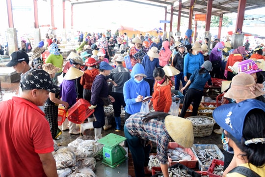 Nghệ An: Cảng cá nhộn nhịp, nhiều người dân thờ ơ với các quy định phòng, chống dịch