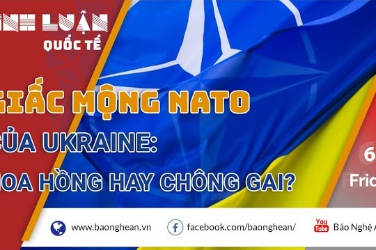 Giấc mộng NATO của Ukraine: Hoa hồng hay chông gai?