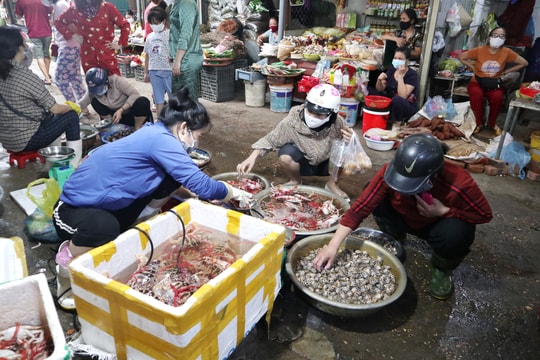 Hải sản Nghệ An 'đắt khách', giá tăng cao trong dịp nghỉ lễ