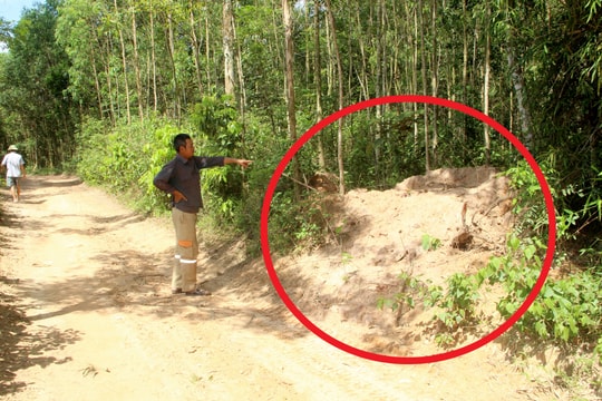 Chính quyền xã thờ ơ khi bò chết vì nhiễm dịch viêm da nổi cục