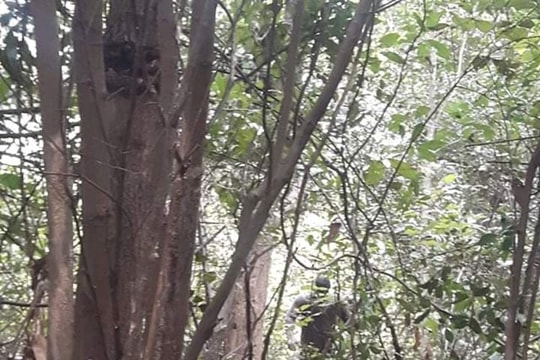 Phát hiện người đàn ông chết trong tư thế treo cổ sau nhiều ngày mất tích