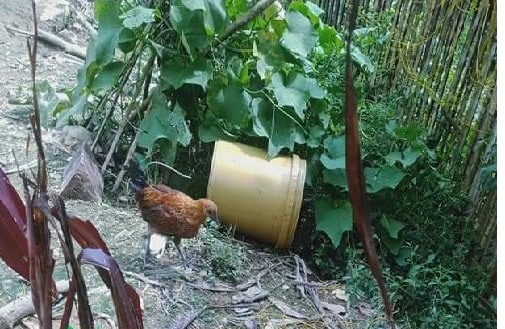 Bé gái 2 tuổi tử vong vì ngã vào xô nước