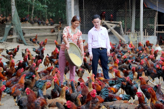 Nghệ An đa dạng hóa nguồn lực để thực hiện tín dụng chính sách 