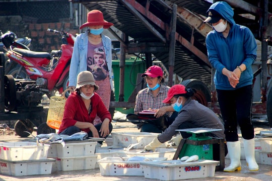 Nghệ An: Nhiều ngư dân, tiểu thương ở cảng cá thờ ơ với khẩu trang 