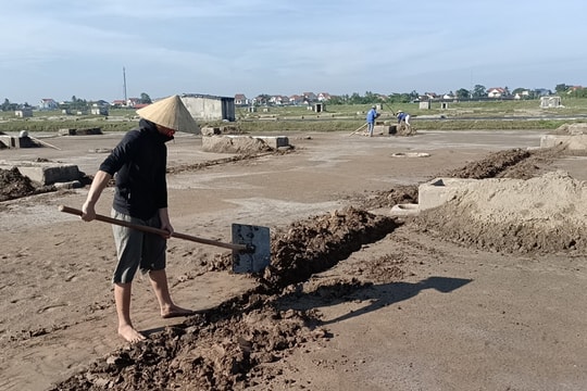 Giá quá thấp, diêm dân Nghệ An không mặn mà với vụ muối mới