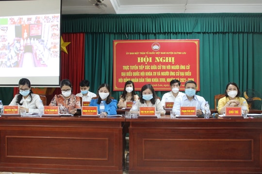 Ứng cử viên đại biểu Quốc hội, HĐND tỉnh tiếp xúc trực tuyến cử tri ở huyện Quỳnh Lưu
