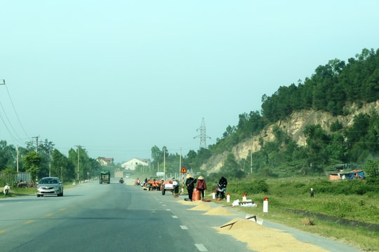 Nghệ An: Vô tư biến quốc lộ thành sân phơi lúa