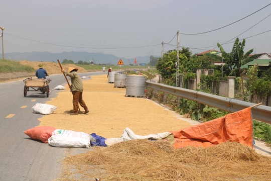 Choáng với vật cản người dân trưng trên đường để phơi lúa