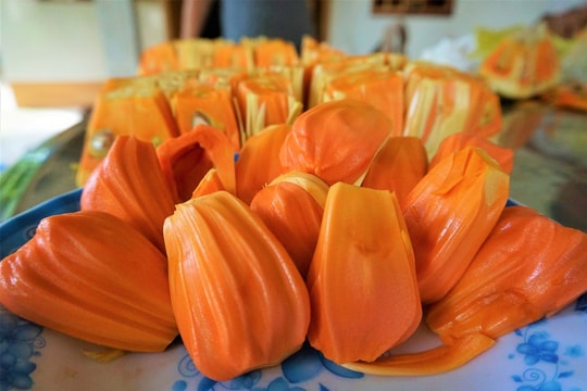 Trồng giống mít lạ, lão nông thu tiền tỷ mỗi năm