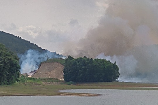 Xã Quỳnh Tân (Quỳnh Lưu) dung túng cho sai phạm về khai thác đất lâm nghiệp?