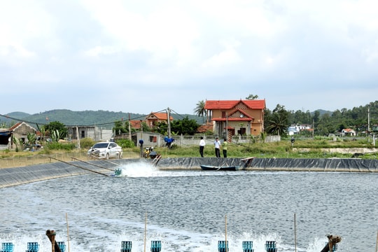 Những cựu binh đi đầu trên mặt trận mới