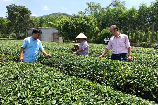 Nghệ An: Tín dụng chính sách tăng trưởng an toàn, hiệu quả