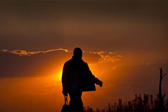 Dừng lại hay lao đi?