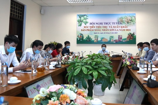 Nghệ An tham gia Hội nghị xúc tiến tiêu thụ và xuất khẩu xoài, nhãn Sơn La