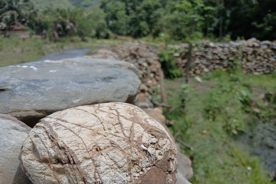 Độc đáo hàng rào đá bảo vệ ruộng ở miền Tây xứ Nghệ