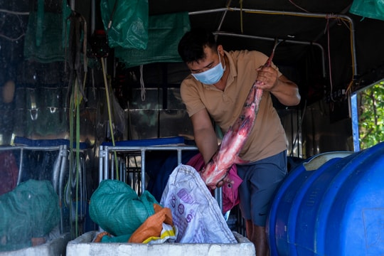 Cần sự chia sẻ, đồng hành với người dân Diễn Bích (Diễn Châu)