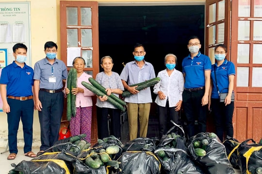 Hội Nông dân Nghệ An vào cuộc 'giải cứu' nông sản