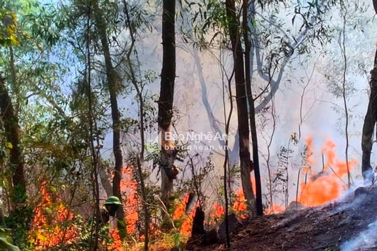Nghệ An cảnh báo cháy rừng cấp 4, 5