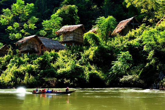 Phục hồi hệ sinh thái - Hành động của mỗi tổ chức, cá nhân