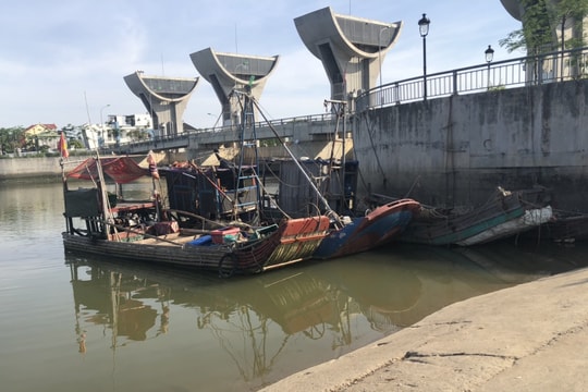 Chơi ở bến neo đậu tàu cá, bé gái 7 tuổi sảy chân đuối nước 