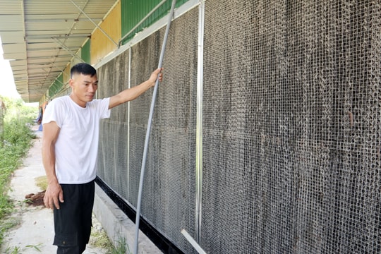 Nông dân Nghệ An đau đầu tìm cách giải nhiệt cho gia súc, gia cầm