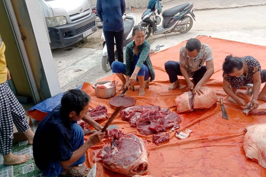 Người dân Yên Thành mổ lợn tạ để làm ruốc bông hỗ trợ vùng dịch Bắc Giang, Bắc Ninh