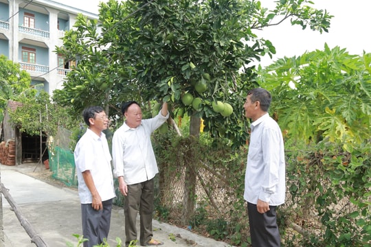 Nghệ An làm tốt công tác phát triển đảng ở vùng đặc thù