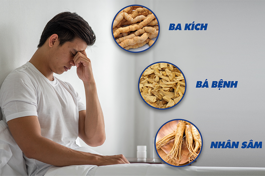 Suy giảm chức năng sinh lý nam giới - Giải pháp từ y học cổ truyền