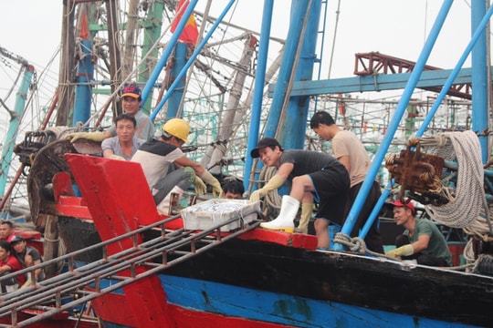 Tốc độ tăng trưởng giá trị sản xuất nông, lâm, ngư của Nghệ An đứng thứ 5 cả nước