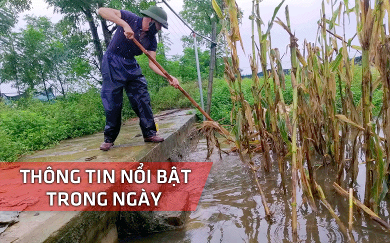 Nghệ An: Thông tin nổi bật ngày 13/6