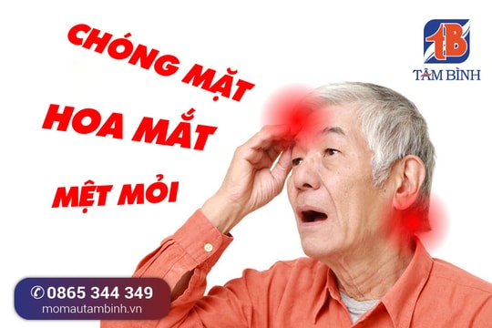 Hỗ trợ điều trị hiệu quả bệnh mỡ máu cao từ Y học cổ truyền
