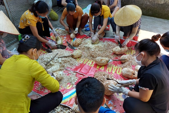 Thức đêm chế biến nhút mít, muối măng ủng hộ người dân TP Vinh chống dịch