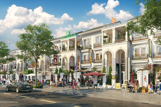 Vinh Heritage: Khám phá Shopvilla240 Premium - Bản nâng cấp công năng kép '4 lời'