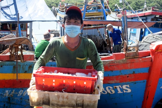 Người dân Nghệ An mưu sinh trong cái nắng như đổ lửa